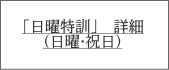 「日曜特訓」　詳細 （日曜・祝日）